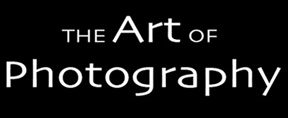 Art of Photography